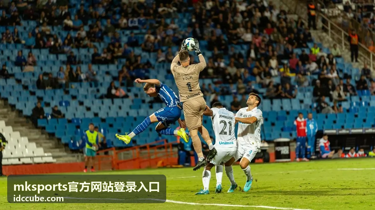 mksports官方网站登录入口跑步与城市赛内容