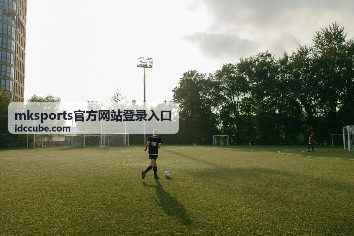 mksports官方网站登录入口观赛装备准备指南